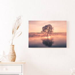 Obraz na płótnie Wschód słońca na tle drzewa na polanie