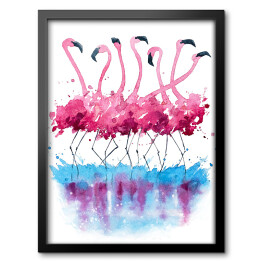 Obraz w ramie Akwarelowe stado flamingów na białym tle