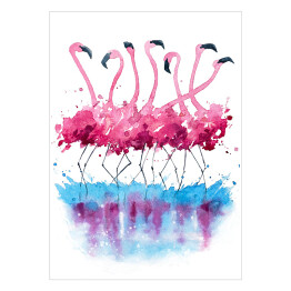 Plakat samoprzylepny Akwarelowe stado flamingów na białym tle