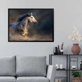 Obraz w ramie Andaluzyjski koń z długą grzywą podczas zmierzchu