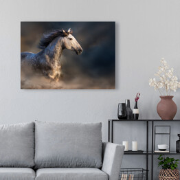 Obraz na płótnie Andaluzyjski koń z długą grzywą podczas zmierzchu