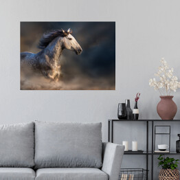 Plakat Andaluzyjski koń z długą grzywą podczas zmierzchu