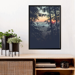 Obraz w ramie Słońce prześwitujące przez las bambusowy
