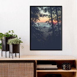Plakat w ramie Słońce prześwitujące przez las bambusowy