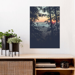 Plakat Słońce prześwitujące przez las bambusowy