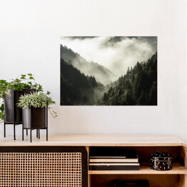 Plakat Wysoka góra porośnięta drzewami w mgle i chmurze