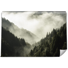 Fototapeta samoprzylepna Wysoka góra porośnięta drzewami w mgle i chmurze