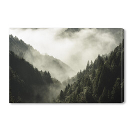 Obraz na płótnie Wysoka góra porośnięta drzewami w mgle i chmurze