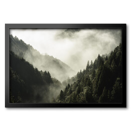 Obraz w ramie Wysoka góra porośnięta drzewami w mgle i chmurze