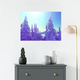 Plakat samoprzylepny Zimowy las w blasku słońca