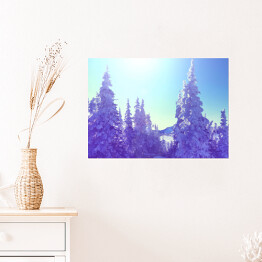 Plakat Zimowy las w blasku słońca