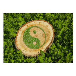Drzewny znak na trawie z symbolem ying yang 