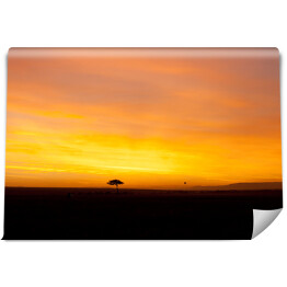 Fototapeta samoprzylepna Afrykański zachód słońca