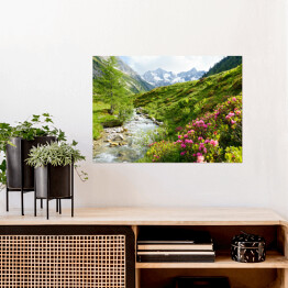 Plakat Roślinność na wzgórzach Alpejskich w słoneczny dzień