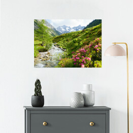 Plakat samoprzylepny Roślinność na wzgórzach Alpejskich w słoneczny dzień