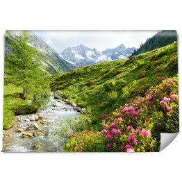 Fototapeta samoprzylepna Roślinność na wzgórzach Alpejskich w słoneczny dzień