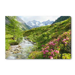 Obraz na płótnie Roślinność na wzgórzach Alpejskich w słoneczny dzień