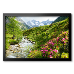 Obraz w ramie Roślinność na wzgórzach Alpejskich w słoneczny dzień