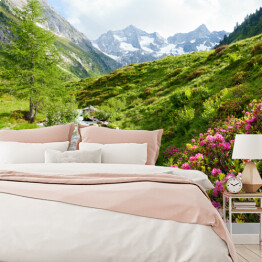 Fototapeta winylowa zmywalna Roślinność na wzgórzach Alpejskich w słoneczny dzień