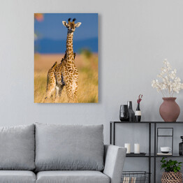 Obraz na płótnie Mała żyrafa na sawannie, Kenia, Tanzania