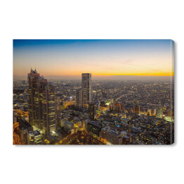 Obraz na płótnie Krajobraz Tokio o świcie