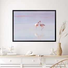Obraz w ramie Dwa flamingi spacerujące po wodzie