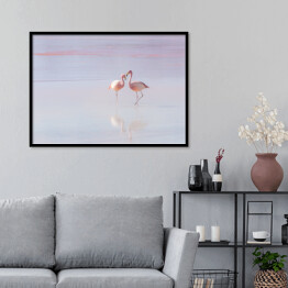 Plakat w ramie Dwa flamingi spacerujące po wodzie