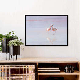 Plakat w ramie Dwa flamingi spacerujące po wodzie