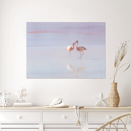 Plakat Dwa flamingi spacerujące po wodzie