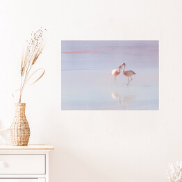 Plakat samoprzylepny Dwa flamingi spacerujące po wodzie