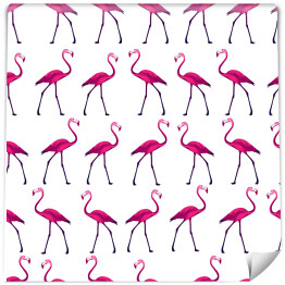 Tapeta samoprzylepna w rolce Piękne flamingi na białym tle