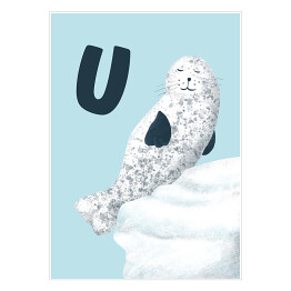 Plakat Alfabet - U jak uchatka