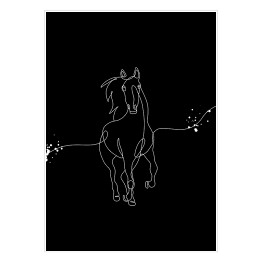 Plakat Koń w galopie - czarne konie