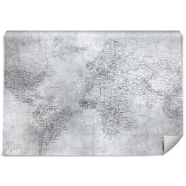 Fototapeta winylowa zmywalna Szczegółowa mapa świata w odcieniach szarości