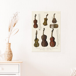 Plakat Instrumenty strunowe ilustracja muzyczna 