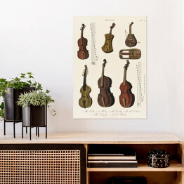 Plakat Instrumenty strunowe ilustracja muzyczna 