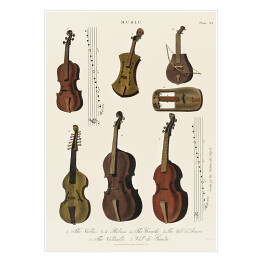 Plakat samoprzylepny Instrumenty strunowe ilustracja muzyczna 