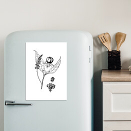 Magnes dekoracyjny Szkarłatka - czarno białe ryciny botaniczne