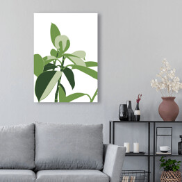 Obraz klasyczny Tropikalna roślina w jasnym pomieszczeniu