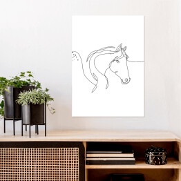 Plakat Koń - białe konie