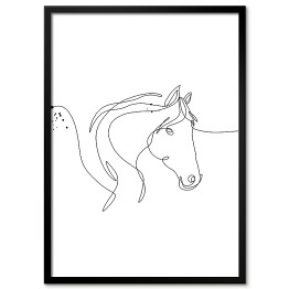 Obraz klasyczny Koń - białe konie