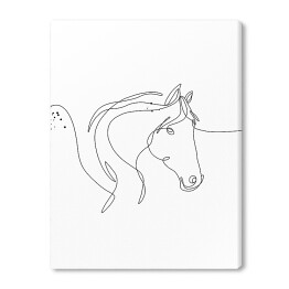 Obraz na płótnie Koń - białe konie