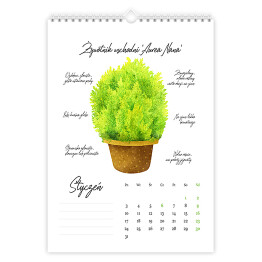 Kalendarz z roślinami balkonowymi