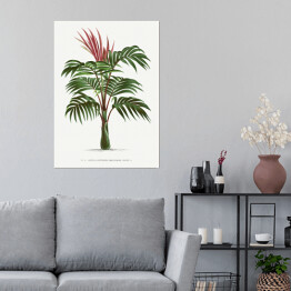 Plakat Egzotyczna roślina palma w stylu vintage reprodukcja