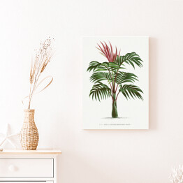 Obraz na płótnie Egzotyczna roślina palma w stylu vintage reprodukcja