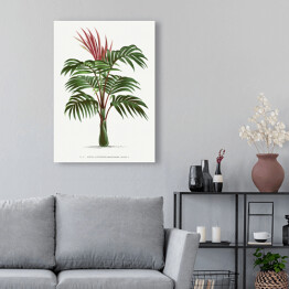 Obraz na płótnie Egzotyczna roślina palma w stylu vintage reprodukcja