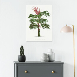Plakat samoprzylepny Egzotyczna roślina palma w stylu vintage reprodukcja