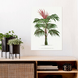 Plakat samoprzylepny Egzotyczna roślina palma w stylu vintage reprodukcja
