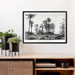Obraz w ramie Tropikalna wyspa czarno biały krajobraz rysunek