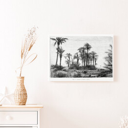 Obraz na płótnie Tropikalna wyspa czarno biały krajobraz rysunek